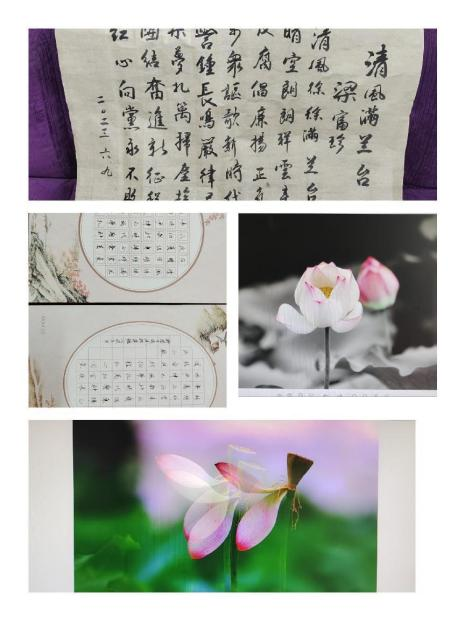 “奋进新征程˙兰台谱新篇” 衡阳市城建档案馆开展6˙9国际档案日系列活动(图6) 图片6.png